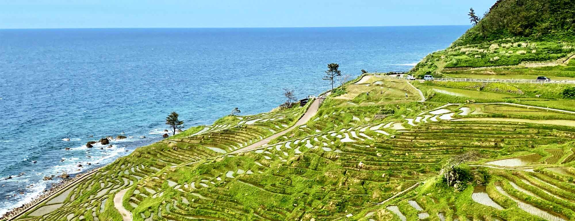 石川県の豊かな里山・里海