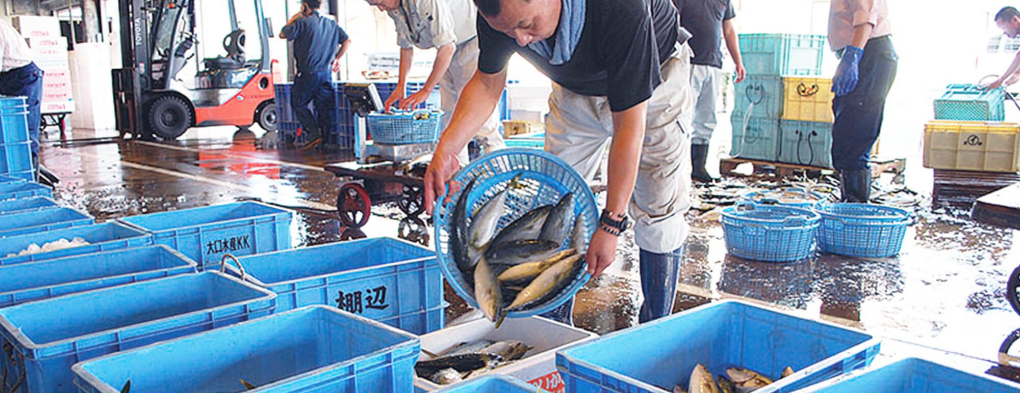 独自ネットワークで全国の美味しい魚介も手に入る