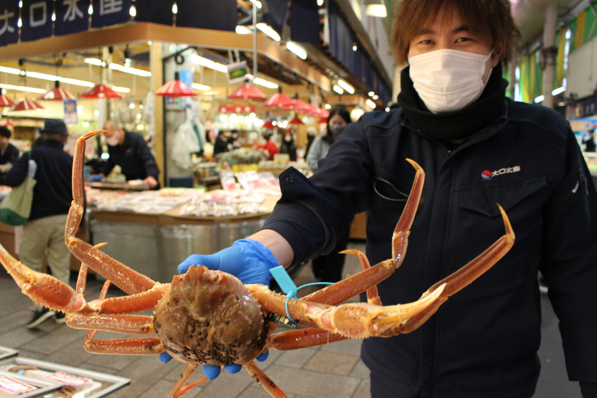 石川県産ズワイカニもうすぐ禁漁になります！